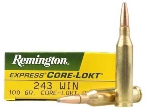 243 Win 100 Grain Soft Point 20 Rounds Remington Ammunition 243 Winchester