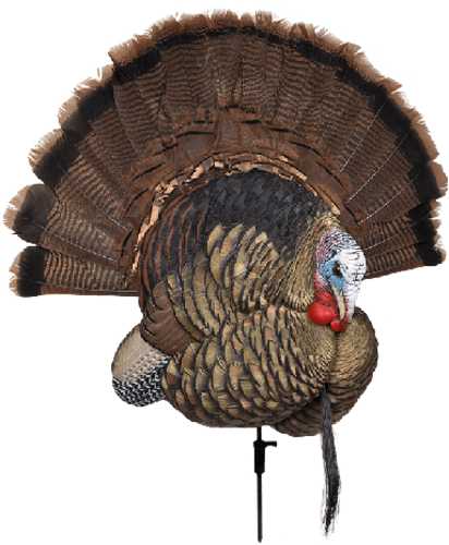 Avian X AVXAVX8021 Trophy Tom Turkey Species Multi Color