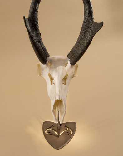 Skull Hooker REALTREE Edition Table Hooker Powder Coat Finish Brown SKH-RTTH-ASSY-BRN