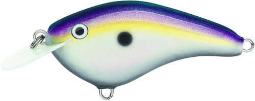RAPALA OTTS GARAGE SLIM 06 BIG SHAD