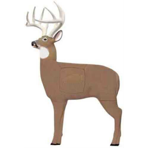 Block Glendel Pre-Rut Buck With 4-Sided Vital Insert