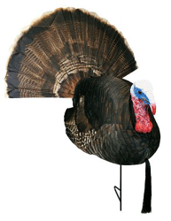 Carry-Lite HD Bob'N Tail Tom Turkey Decoy