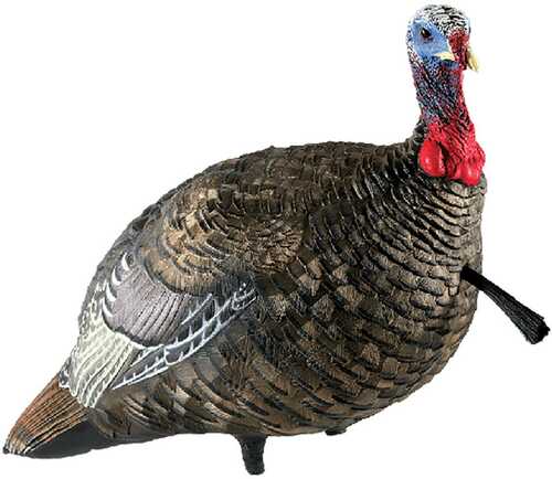 Avian-X Lcd Quarter-Strut Jake Turkey Decoy