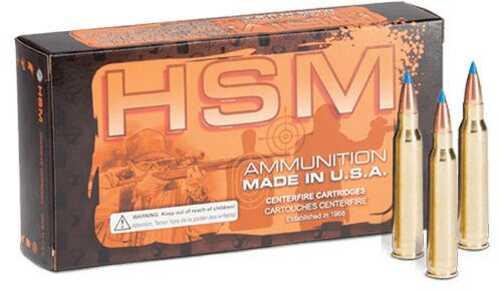 Hsm Varmint Rifle Ammunition .300 Blackout 110 Grain  v-max 20 Rounds