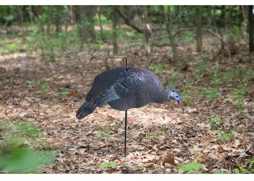 Higdon Flex Turkey Decoy Feeder Hen Silhouette