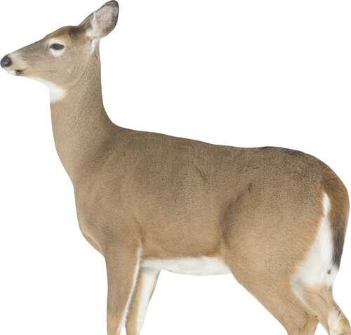 Montana Decoy Co Dreamy Doe