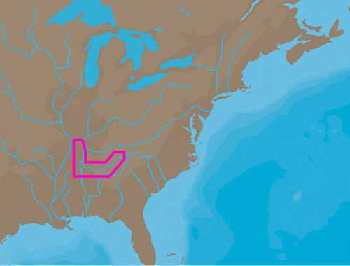 C-MAP NT+ NA-C041 - TN River Paducah-Knoxville - C-Card