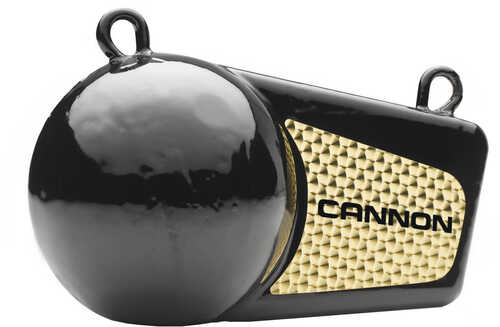 Cannon 6lb Flash Weight