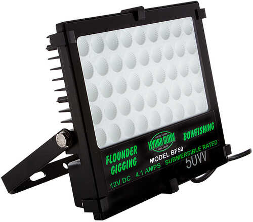 Hydro Glow BF50 50W/12V LED Flood Light - Warm White