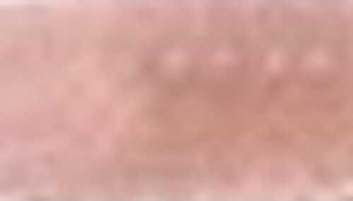 Deadly Dudley Mauler Shrimp 10Pk 3In Pink Champ/Chartreuse Tail Md#: DDMS10-PCCT