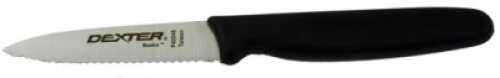 Dexter Basics Knife 8In Narrow Fillet Md#: 31609