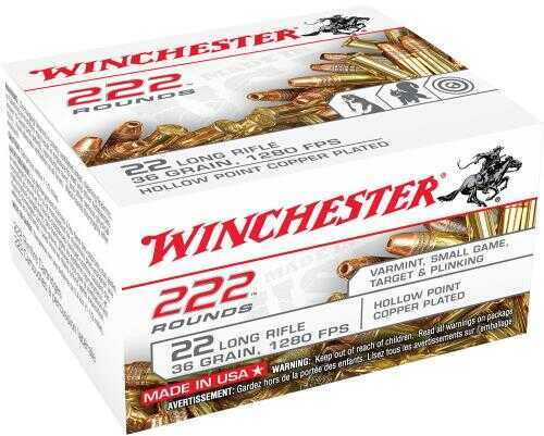 22 Long Rifle 36 Grain Hollow Point 222 Rounds Winchester Ammunition