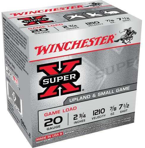 20 Gauge 2-3/4" Lead 7-1/2  7/8 oz 25 Rounds Winchester Shotgun Ammunition