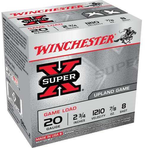 20 Gauge 2-3/4" Lead #8  7/8 oz 25 Rounds Winchester Shotgun Ammunition
