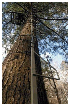 Summit Treestands Swiftree Climbing Stick 82001