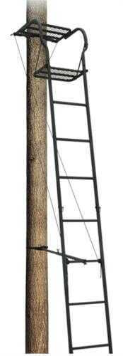 Big Dog Skyraider15' Single Ladder
