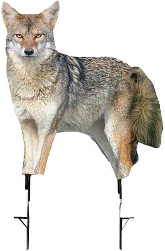 Montana Decoy Coyote Song Dog