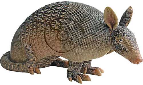 Big Shot Pro Hunter Armadillo Target