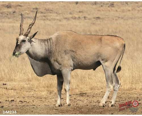 DuraMesh Archery Target Eland 25 in. x 32 in.