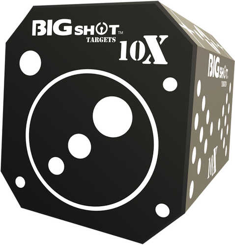 Big Shot Titan 10X Broadhead Target