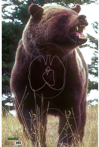 Martin Paper Targets Bear