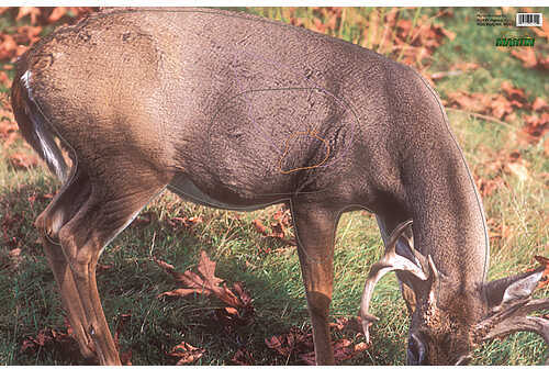 Martin Paper Targets Whitetail