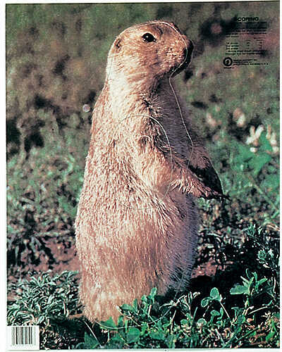 Martin Paper Targets Prairie Dog