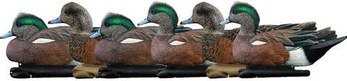 AvianX Top Flight Duck Decoys Wigeon 6 pk.