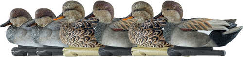 AvianX Top Flight Duck Decoys Gadwall 6 pk.