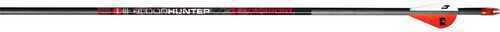 Bloodsport Bloodhunter Arrows 300 2in. Vane 6 Pk. Model: Bld123006