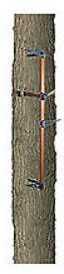 Lone Wolf Tree Stand Sticks 3-Pc Climbing