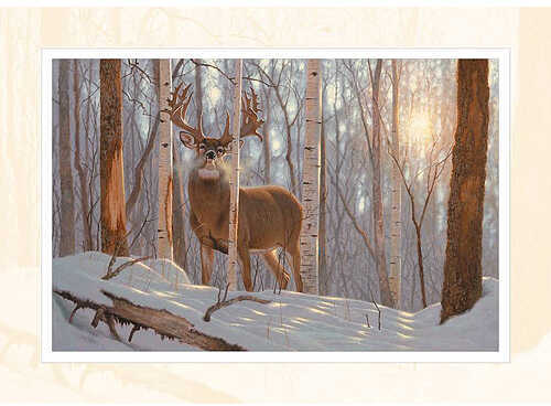 Reflective Art Note Cards - Frankentine Whitetail 12/Box