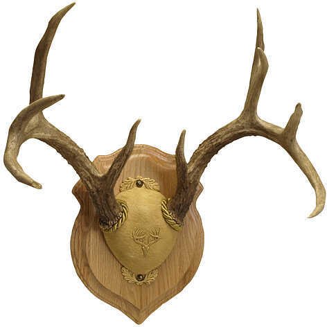 Walnut Hollow Deluxe Antler Display Kit Oak