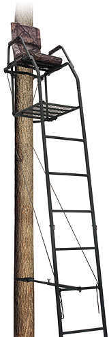 Big Dog Blue Tick 16' Ladder Treestand 22.75"X17.5" 56.5Lbs.