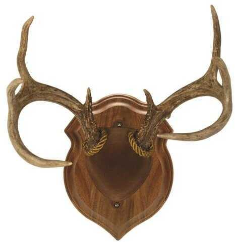 Walnut Hollow Deluxe Antler Display Kit Model: 40756