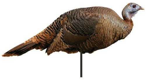 MONTANA SPRING FLING HEN DECOY