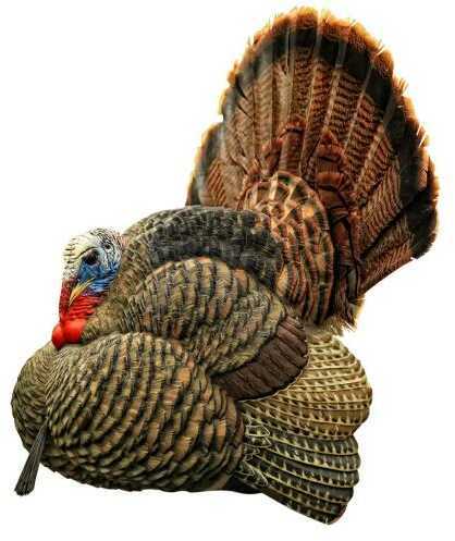 Avian X AVX-AVX8004 Lcd Strutter Turkey Species Multi Color Dura-Rubber