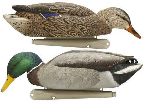 AvianX Top Flight Duck Decoys Backwater Mallards 6 pk. Model: AVX-AVX8070