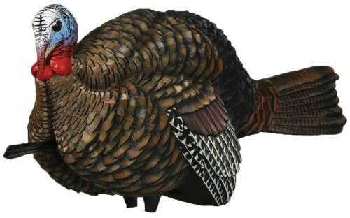 Avian X Turkey Decoy 1/2 Strut Jake