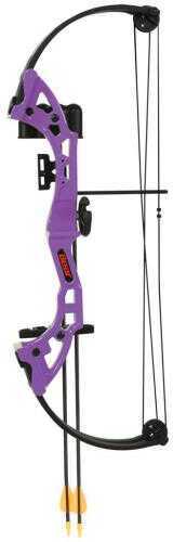 Bear Archery Youth Compound Bow Brave RH Purple Age 8+