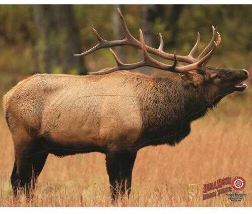 DuraMesh Archery Target Elk 1 25 in. x 32 in. Model: DM206