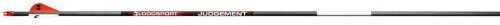 BloodSport Judgement Arrows 350 2 in. Vane 6 pk. Model: PSB135106