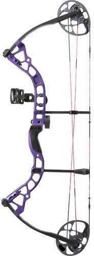 Diamond Prism Bow Package Purple 18-30 in. 5-55 lbs. RH Model: B12708