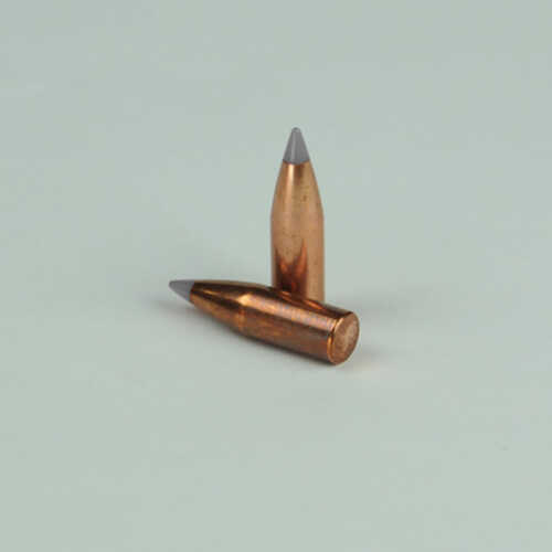 OEM Blem Bullets 22 Caliber .224 Diameter 60 Grain Poly Tipped 100 Count (Blemished)