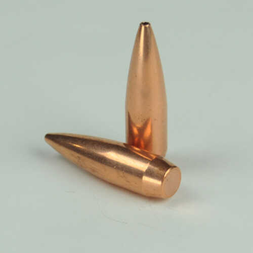 OEM Blem Bullets 30 Caliber .308 Diameter 155 Grain Boat Tail Hollow Point Match 100 Count (Blemished)