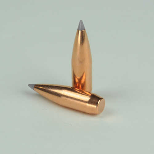 OEM Blem Bullets 30 Caliber .308 Diameter 168 Grain Poly Tipped Boat Tail 100 Count (Blemished)