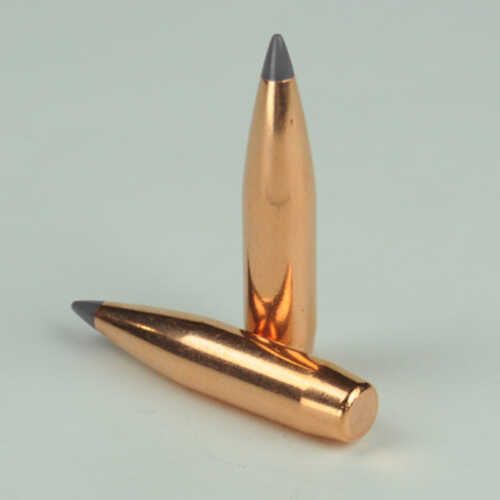 OEM Blem Bullets 30 Caliber .308 Diameter 200 Grain Hunting Poly Tipped  Match (Blemished) 100 Count Boxed