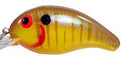 Bandit Mr 1/4 2" Butterscotch