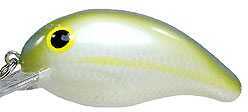Bandit Mr 1/4 2" Natty Light