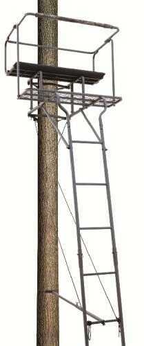 Big Dog Tree Stand Ladder Big Bud 15Ft 2-Man Model: BDL-405
